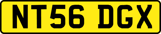 NT56DGX