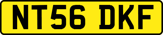 NT56DKF