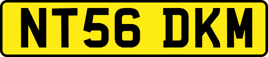 NT56DKM