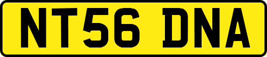 NT56DNA