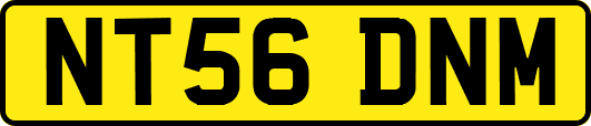 NT56DNM