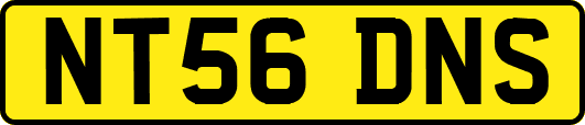 NT56DNS
