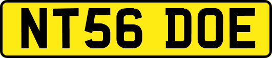 NT56DOE