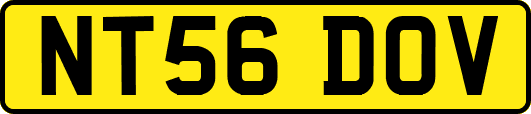 NT56DOV
