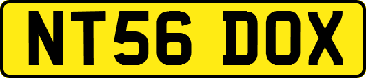 NT56DOX