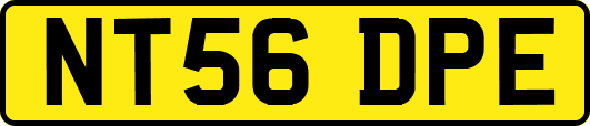 NT56DPE