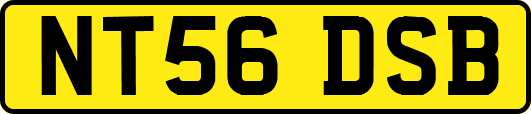 NT56DSB