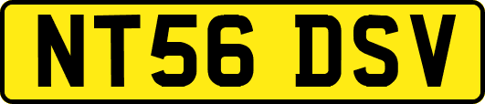 NT56DSV