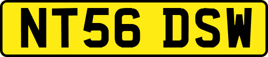 NT56DSW