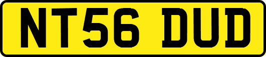NT56DUD