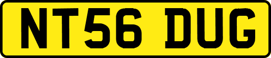 NT56DUG