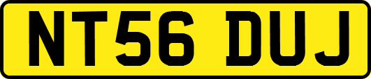 NT56DUJ