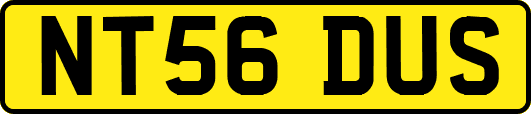 NT56DUS