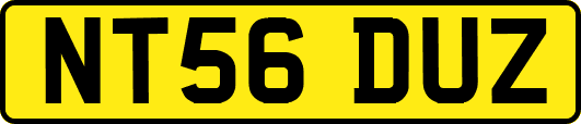 NT56DUZ