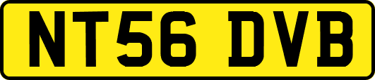 NT56DVB