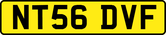 NT56DVF