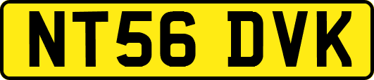 NT56DVK