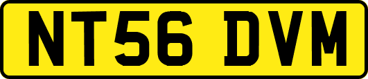 NT56DVM