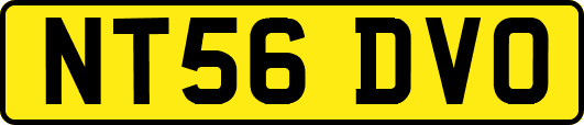 NT56DVO