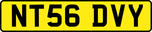 NT56DVY
