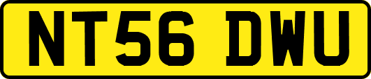 NT56DWU