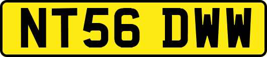 NT56DWW