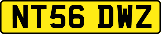 NT56DWZ