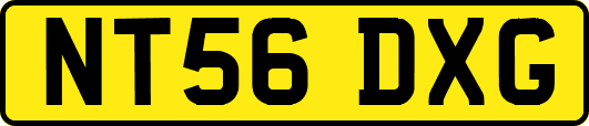 NT56DXG