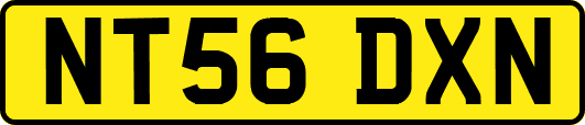 NT56DXN