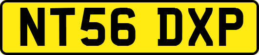 NT56DXP
