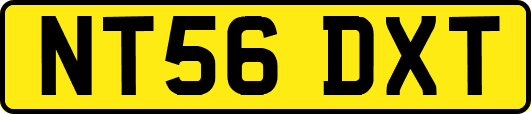 NT56DXT