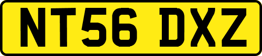 NT56DXZ