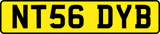 NT56DYB
