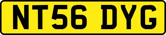 NT56DYG