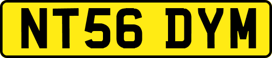 NT56DYM