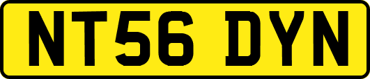 NT56DYN