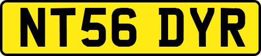 NT56DYR