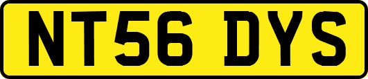 NT56DYS