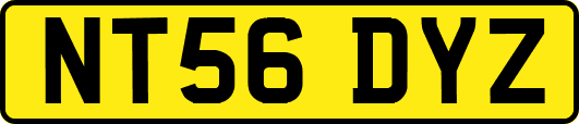NT56DYZ