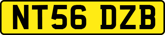 NT56DZB