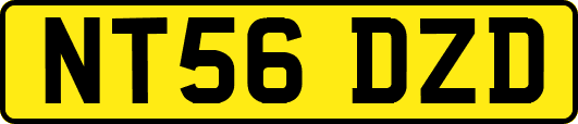 NT56DZD