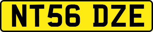 NT56DZE