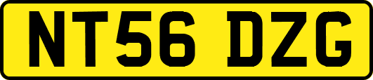 NT56DZG