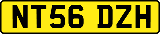 NT56DZH