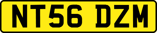 NT56DZM