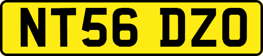 NT56DZO