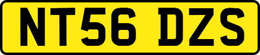 NT56DZS