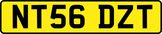 NT56DZT