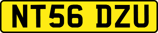 NT56DZU