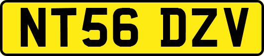 NT56DZV